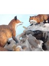 Wildlife